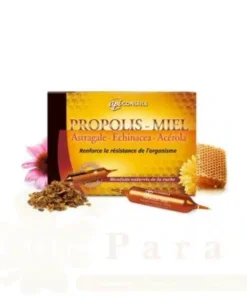 YVES PONROY API CONSEILS PROPOLIS MIEL 20 AMPOULES
