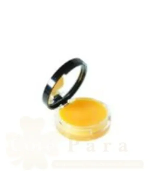 DELAROM BAUME PROTECTEUR LEVRES 10ML