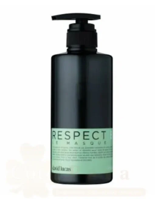 DAVID LUCAS MASQUE RESPECT 300ML
