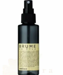 DAVID LUCAS SPRAY SURF BRUME DE PYLA 100ML