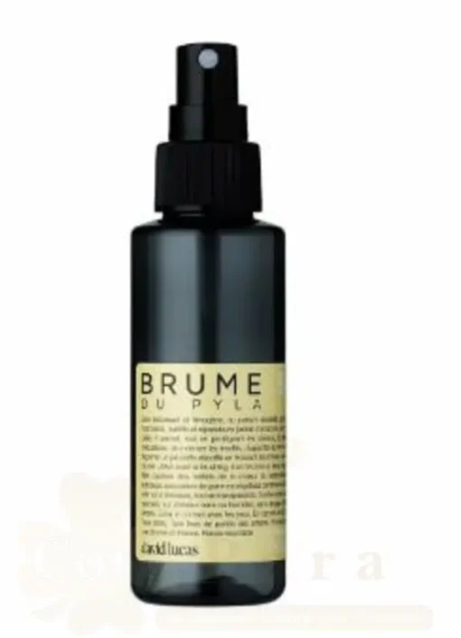 DAVID LUCAS SPRAY SURF BRUME DE PYLA 100ML