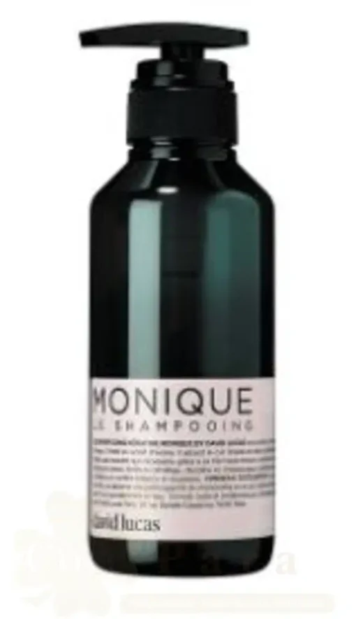 DAVID LUCAS SHAMPOOING MONIQUE 300ML