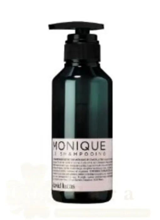 DAVID LUCAS MASQUE MONIQUE 300ML