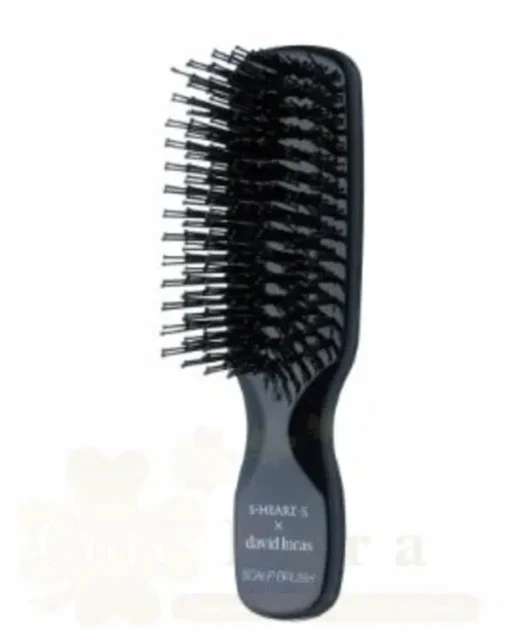 DAVID LUCAS MINI SCALP BRUSH CUTE