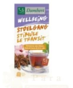 DAMHERT TISAN WELLBEING TEA STIMULE LE TRANSIT 20*2G