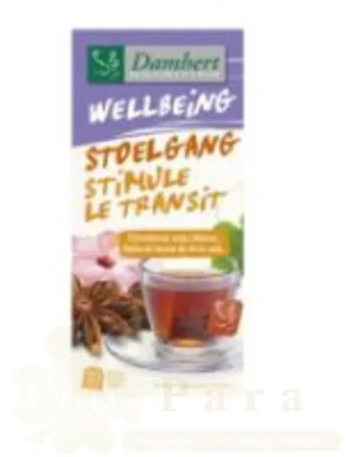 DAMHERT TISAN WELLBEING TEA STIMULE LE TRANSIT 20*2G