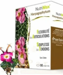 NUTRILAIR NUTRIMAX HARPAGOPHYTUM 90CP