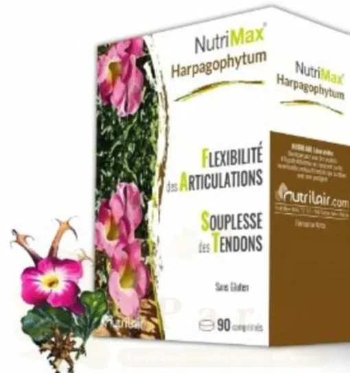 NUTRILAIR NUTRIMAX HARPAGOPHYTUM 90CP