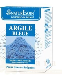 NATURESOIN ARGILE BLEU 100G
