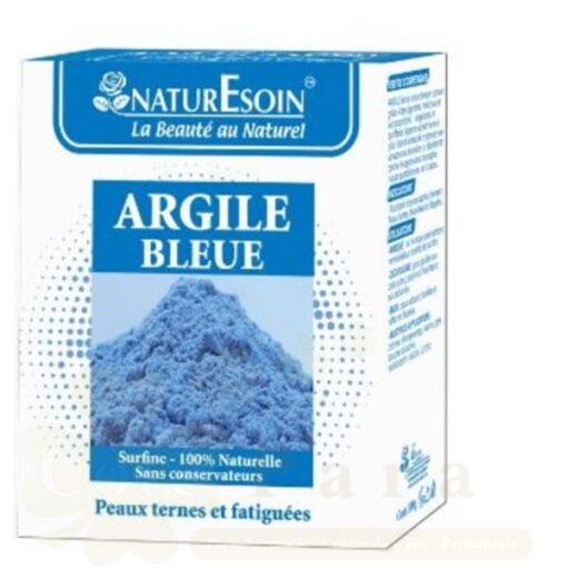 NATURESOIN ARGILE BLEU 100G