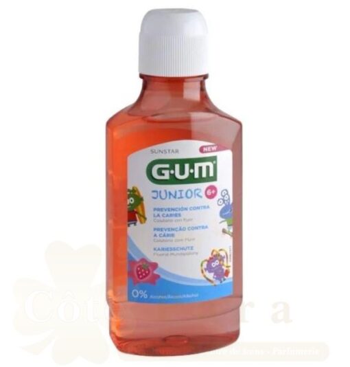 GUM BAIN DE BOUCHE JUNIOR 6+ 300ML 3022