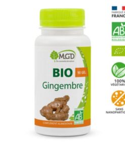 MGD BIO GINGEMBRE 90 GELULES