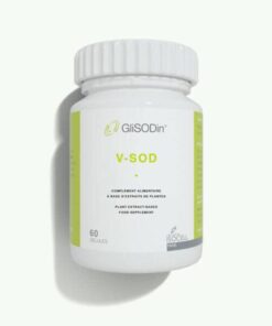 GLISODIN V-SOD BOITE 60 GELULES