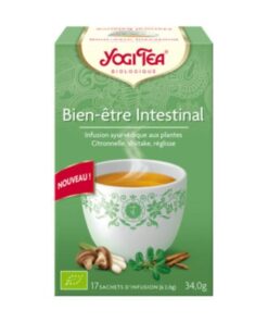 YOGI BIEN ETRE INTESTINAL 17*2G
