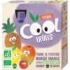VITABIO COOL FRUITS POMME MANGUE ANANAS 4*90G