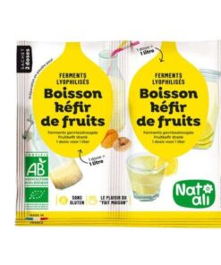 NATALI FERMENT PREPARATION KEFIR DE FRUIT 2*5G