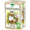 ROMON NATURE TISANE ANTIOXYDANTS Boite de 20 sachets