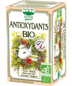 ROMON NATURE TISANE ANTIOXYDANTS Boite de 20 sachets