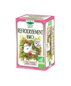ROMON NATURE TISANE REFROIDISSEMENT BIO 20 SACHETS