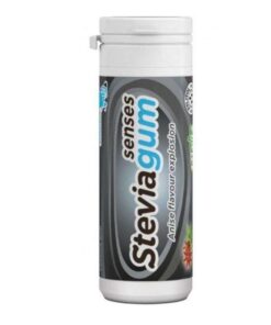 STEVIA GUM SENSES ANISE ET MENTHE