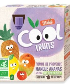 VITABIO COOL FRUITS POMME MANGUE ANANAS ACEROLA Boite de 4