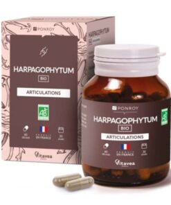 YVES PONROY HARPAGOPHYTUM ARTICULATIONS 60 GELULES