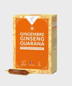 YVES PONROY PERFORMANCES PHYSIQUES GINGEMBRE GINSENG GUARANA 20 AMPOULES