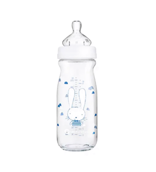 Bebe Confort Biberon Emotion En Verre 0-12m  270ml
