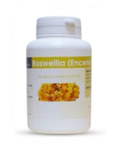 GPH Boswellia Encens Extrait 270mg 100gelules