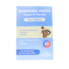 Hydrogel Patch Medical Grand modele 15cm X 25cm 1 unite