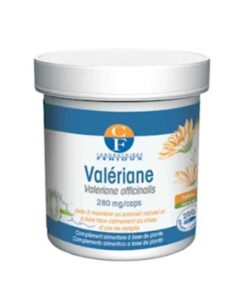FENIOUX HEPADRAINE FLUIDE(FLACON) FLACON 300 ML