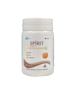 Spirit Gelee Royale 30gelules